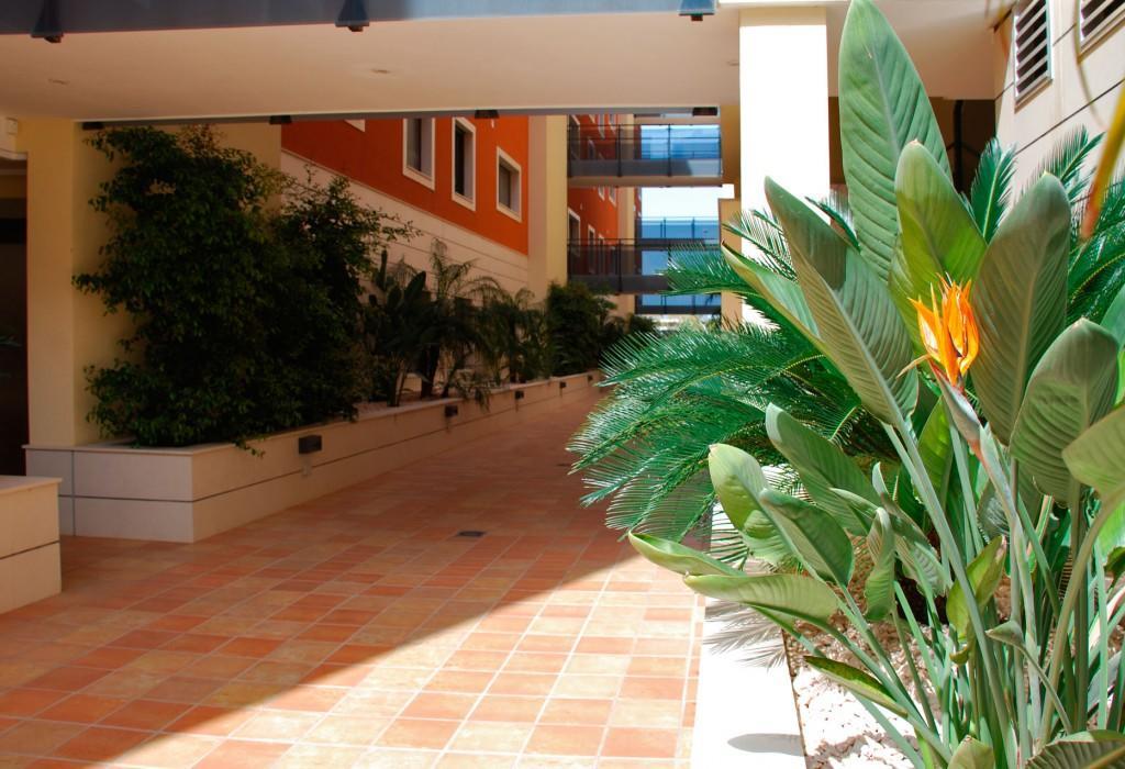Las Flores Apartment Dénia Værelse billede